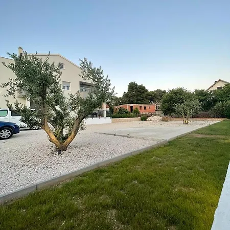 Luxury Leonika * ビビニェ