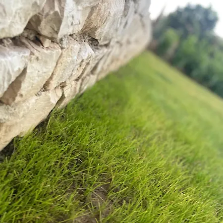 아파트 Luxury Leonika 비빈제