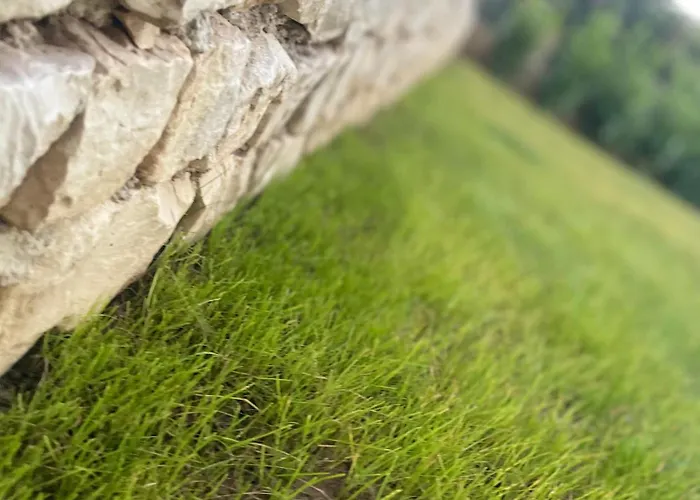 Apartman Luxury Leonika Bibinje